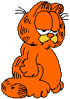 Kater Garfield auf toulouseblog Kater Garfield auf toulouseblog