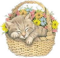 Blumen und Katzen im Korb